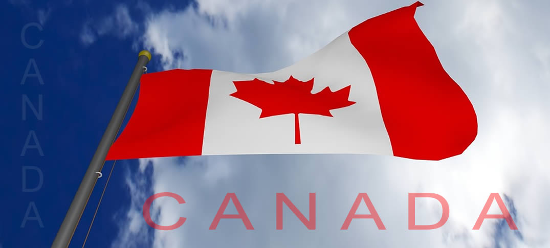 Formularios Para Tramites En Canadá