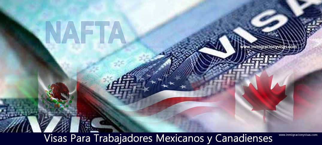 Visas TN para trabajadores canadienses 